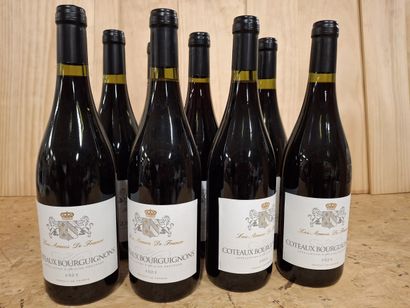 8 Bouteilles de Bourgogne 2023, Les Armes...