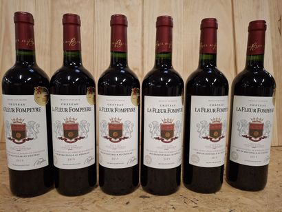 6 Château La Fleur Fompeyre 2019 Castillon,...