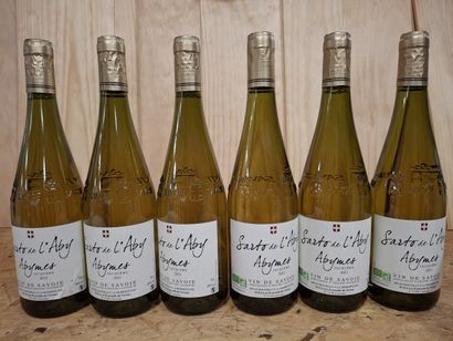 6 Vin de Savoie 2021 Sarto de L'Aby Abymes...
