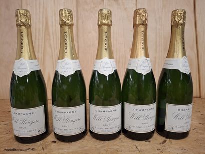5 Bouteilles de Champagne Brut Blanc de Noir...