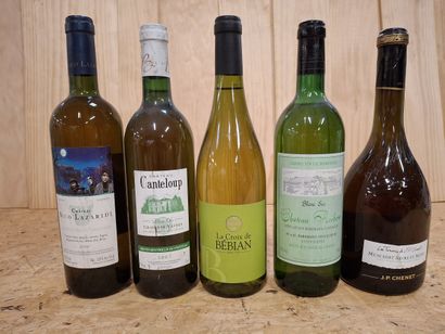 5 Bouteilles de Vin Blanc description sur...