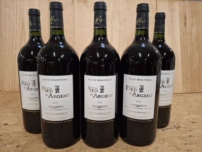 5 Magnums Château Pieds d'Argent 2022 La...