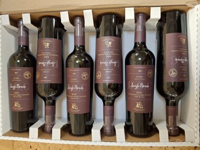 6 Bouteilles de Malbec 2017 Luigi Bosca D.O.C...
