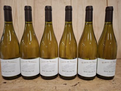 6 Chardonnay 2019 Bourgogne Blanc Domaine...
