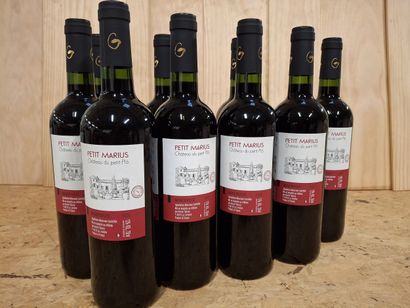 9 Bouteilles de Minervois 2020, Château du...