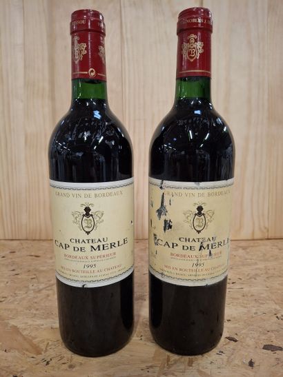 2 Bouteilles Château Cap de Merle 1995 Grand...