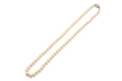 Collier composé d'une chute de perles de...