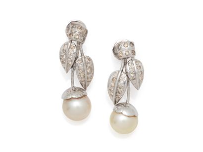 Paire de pendants d'oreilles en or gris 585...