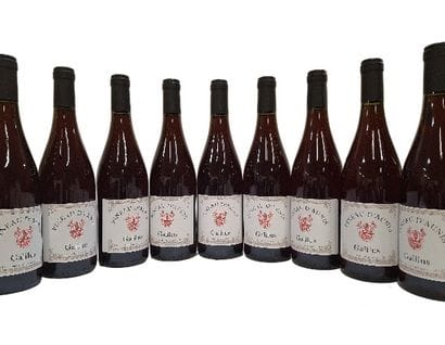 9 Bouteilles de Pineau d'Aunis, 2023 Galilus,...