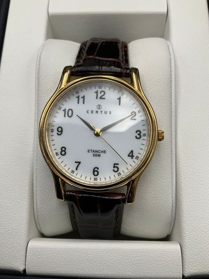 CERTUS, Montre Homme, mouvement quartz, Bracelet...