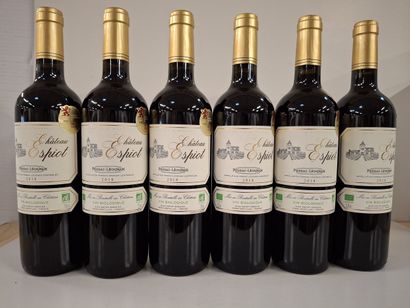 6 Château L'Espiot 2018 Pessac-Léognan, Gold...