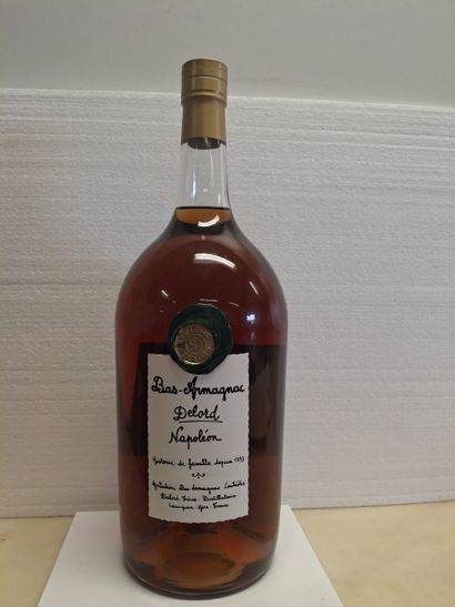 1 Pot de 250 cl Bas-Armagnac Napoléon Famille...