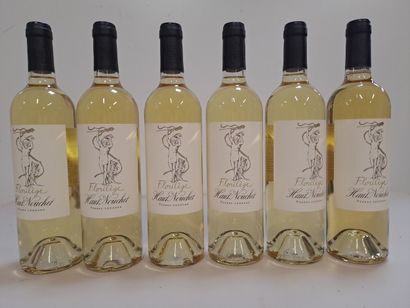 6 Pessac Léognan 2019 Blanc Château Haut...