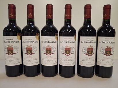 6 Château La Fleur Fompeyre 2019 Côtes de...