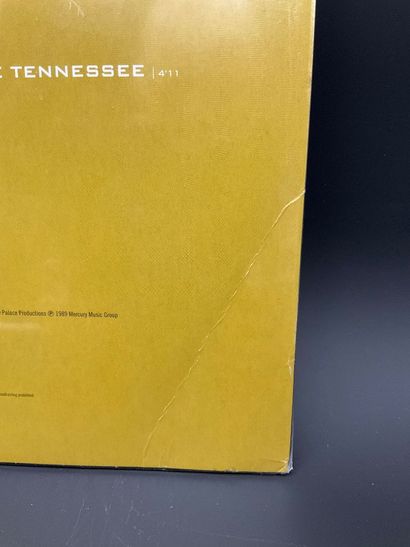 Johnny Hallyday, 2 vinyles , «je n’ai jamais...