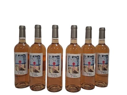 6 Rosé Merlot 2019 La Petite Roche Rosé état...