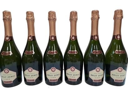 6 Bouteilles Méthode traditionnelle Espagnol...