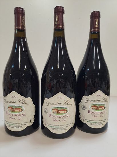3 Magnums(150cl) Pinot Noir 2021 Grand Vin...