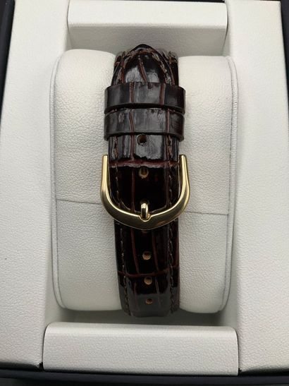 CERTUS, Montre Homme, mouvement quartz, Bracelet...