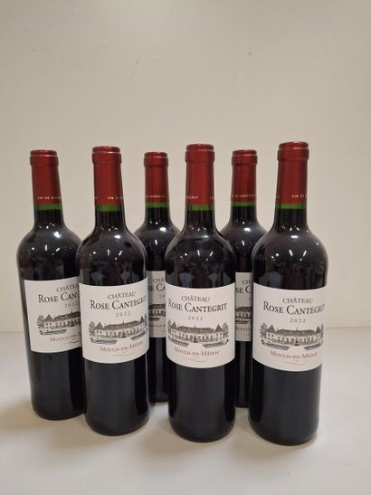 6 Château La Rose Cantegrit 2022 Moulis En...