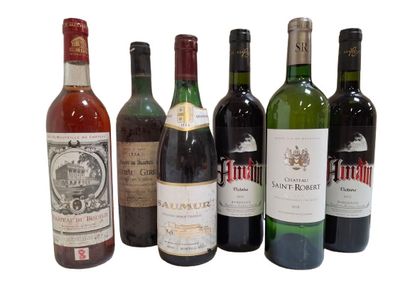 Lot de 6 bouteilles comme sur la photo