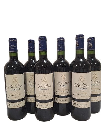 6 Bouteilles de Saint Emilion 2022 La Rose...