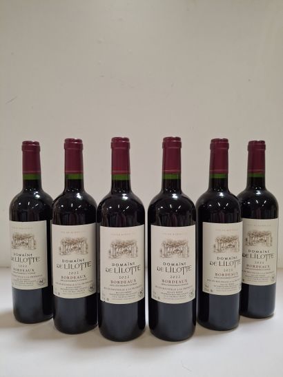 6 Domaine Lilotte 2022 Bordeaux harvesting...