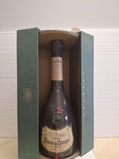 1 Très Vieille Bouteille dans le Coffret...