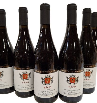 6 Bourgogne Mâcon Rouge 2023, Étienne de...