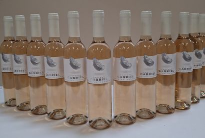 12 Rosé Château Gabriel 2021 Côtes de Provence...