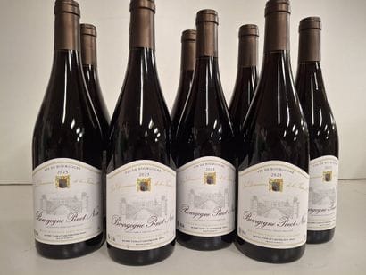 9 Bourgogne Pinot Noir 2023 Les Domaines...