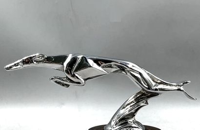 Mascot after Casimir BRAU, Jumping Greyhound,...