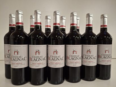 12 Château de Blagnac Haut Médoc 2021 AOC
Harvesting...