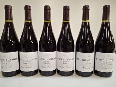 12 Beaujolais-Village 2024 Domaine Claire...