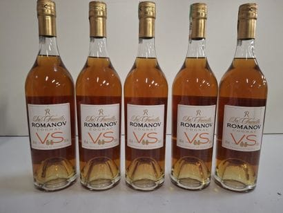 5 Bottles Cognac VS Famille Romanov 70 cl...