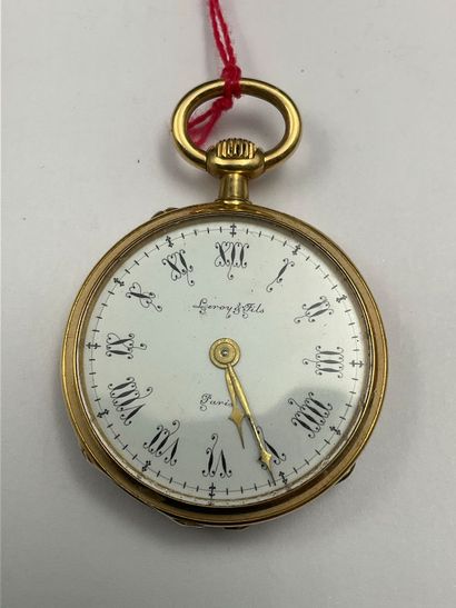 Grande montre de col par Leroy à Paris
vers...