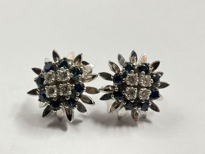 Paire de boucles d’oreilles en or gris 750...