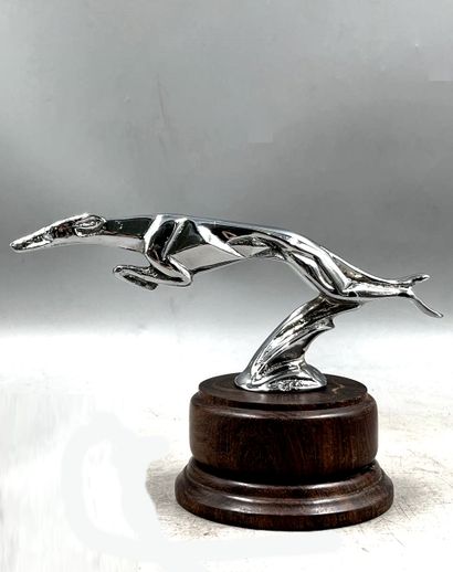 Mascot after Casimir BRAU, Jumping Greyhound,...