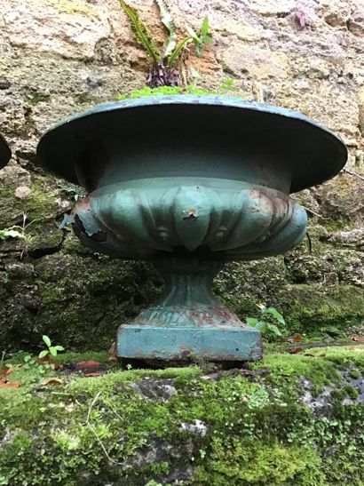 Pair of Medici vases in painted cast iron,...