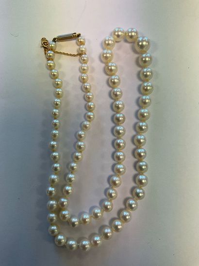 Pearl necklace, clasp and safety chain in...