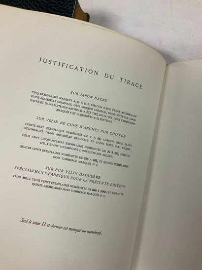 Arthur Rimbaud. Œuvres poétiques, tomes 1...