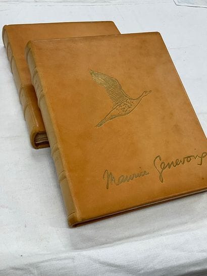 Maurice Genevois: 