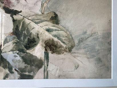 J.E. BLANCHE, Watercolor, bouquet of hollyhocks,...