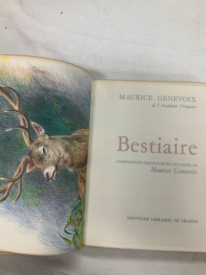 Maurice Genevois: 