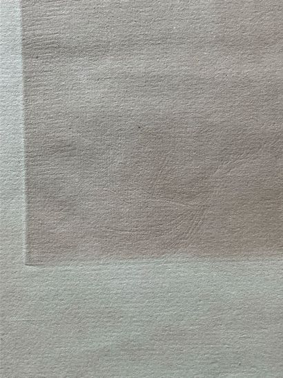 Pablo PICASSO: lithograph 