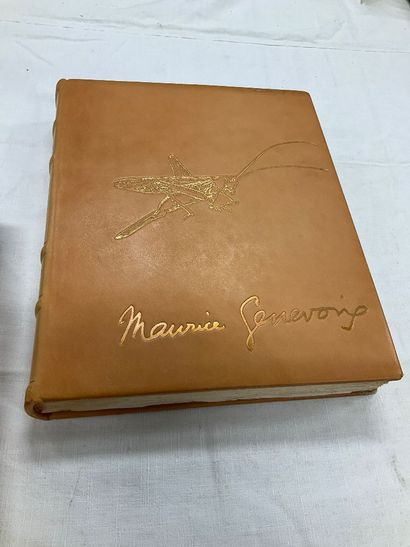 Maurice Genevois: 