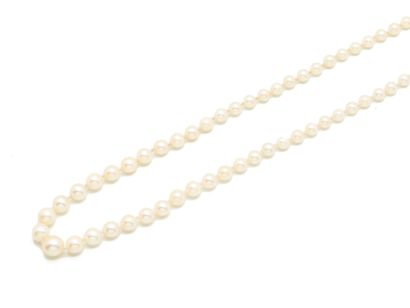 Necklace featuring a slight drop of cultured...