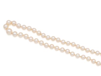 Necklace featuring a slight drop of cultured...