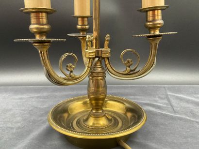 A three-light Empire-style hot-water bottle...