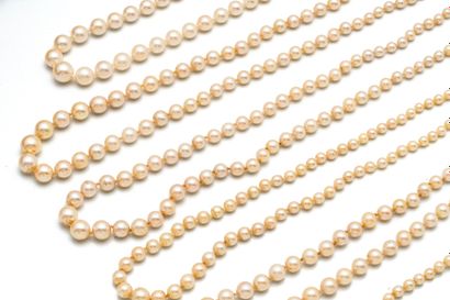 Set consisting of 6 strands of cultured pearls...